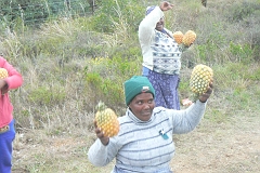0569-Reis Zuid-Afrika2007